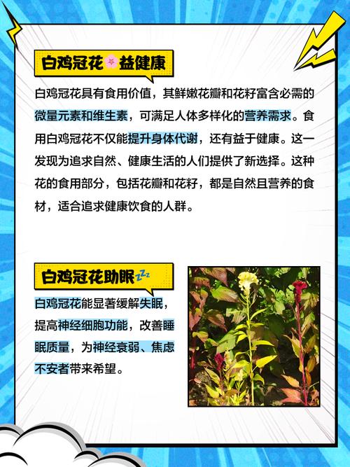 为什么在风水上养白色花被认为是有好处的呢？