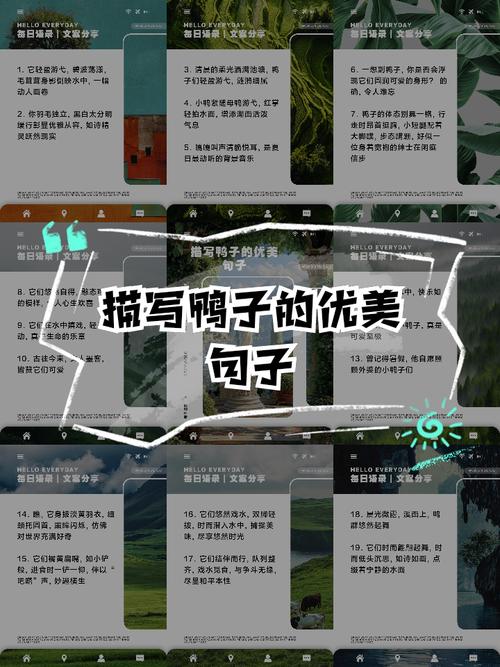 鸭子的命运能否为，使其成为？