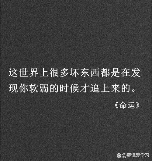 我这是摊上了什么命，怎么所有的不幸都集中在我一个人身上呢？