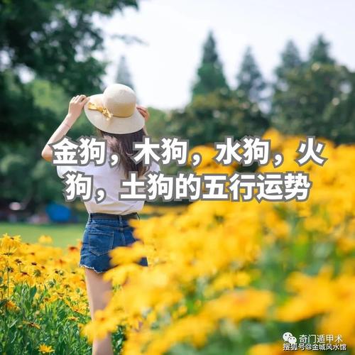 火狗之命的狗属于何命？火狗命的人适宜哪种颜色？