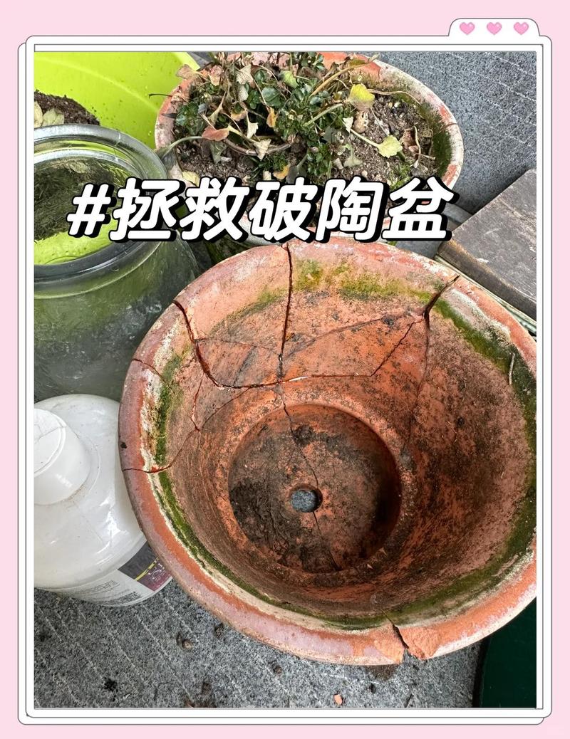 花盆破损会对家居风水产生怎样的影响呢？