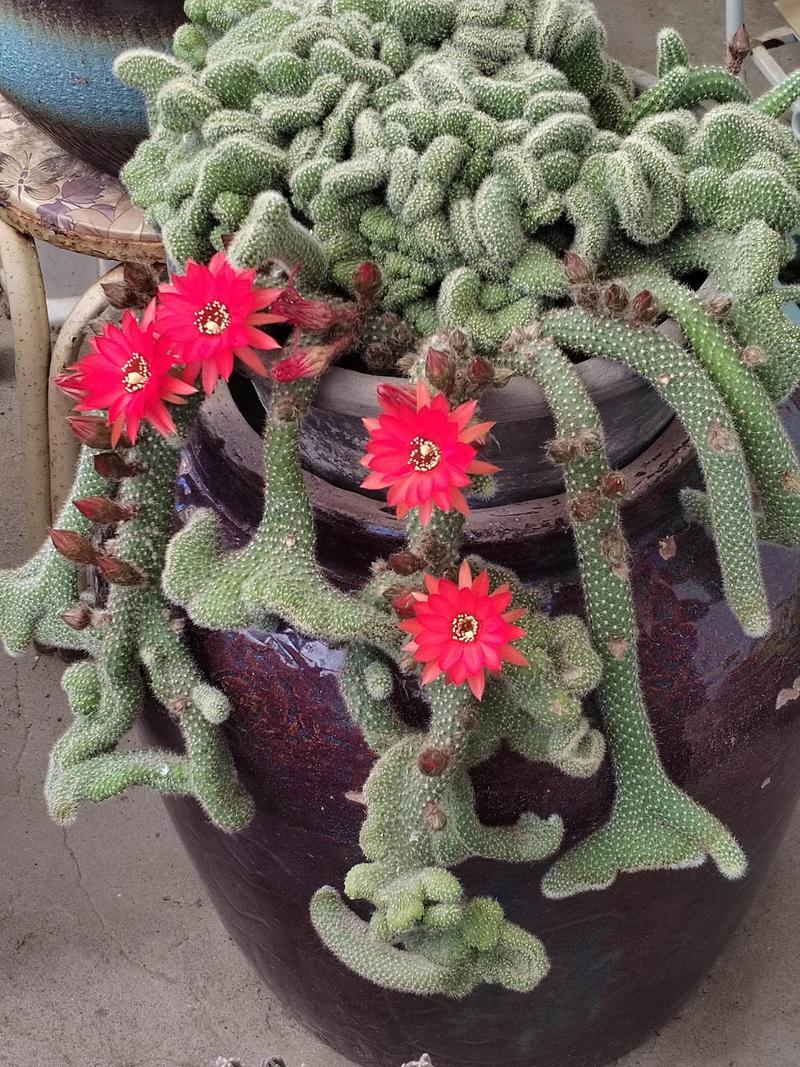 上水石的风水作用有哪些，具体体现在哪些方面？