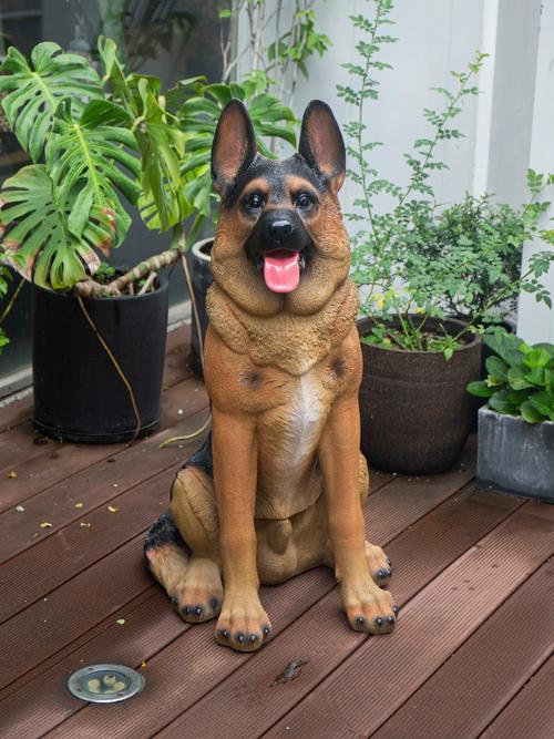 门口放置狗狗是否适宜，对风水有何影响？