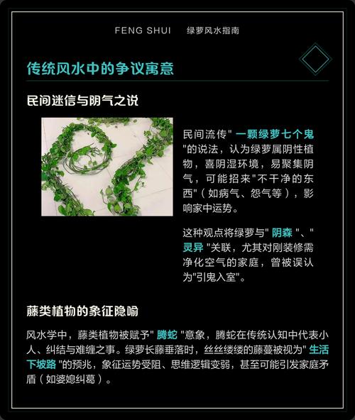 藤类植物对风水有何具体影响？