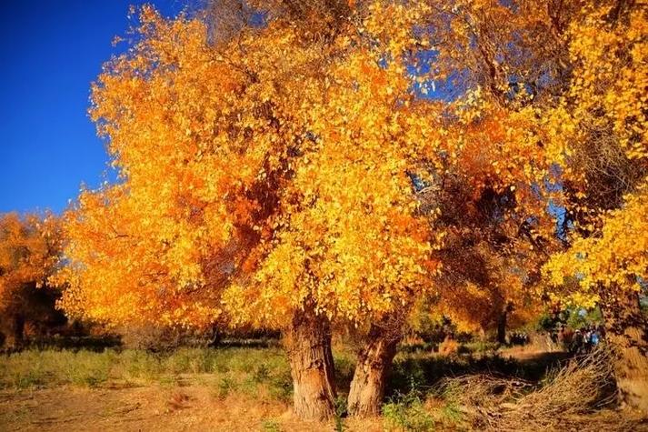 挂山水画的风水讲究有哪些注意事项？