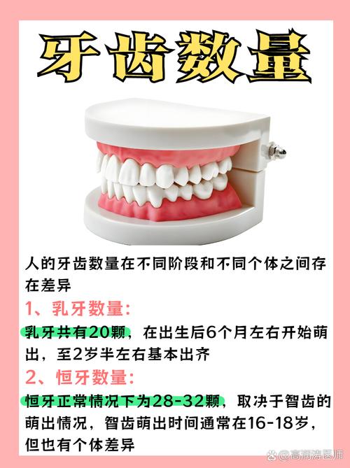 32颗牙齿代表好命，这种说法准确吗？