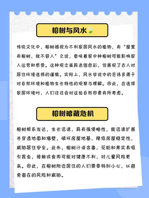 墙边树桩对家居风水有何具体影响？