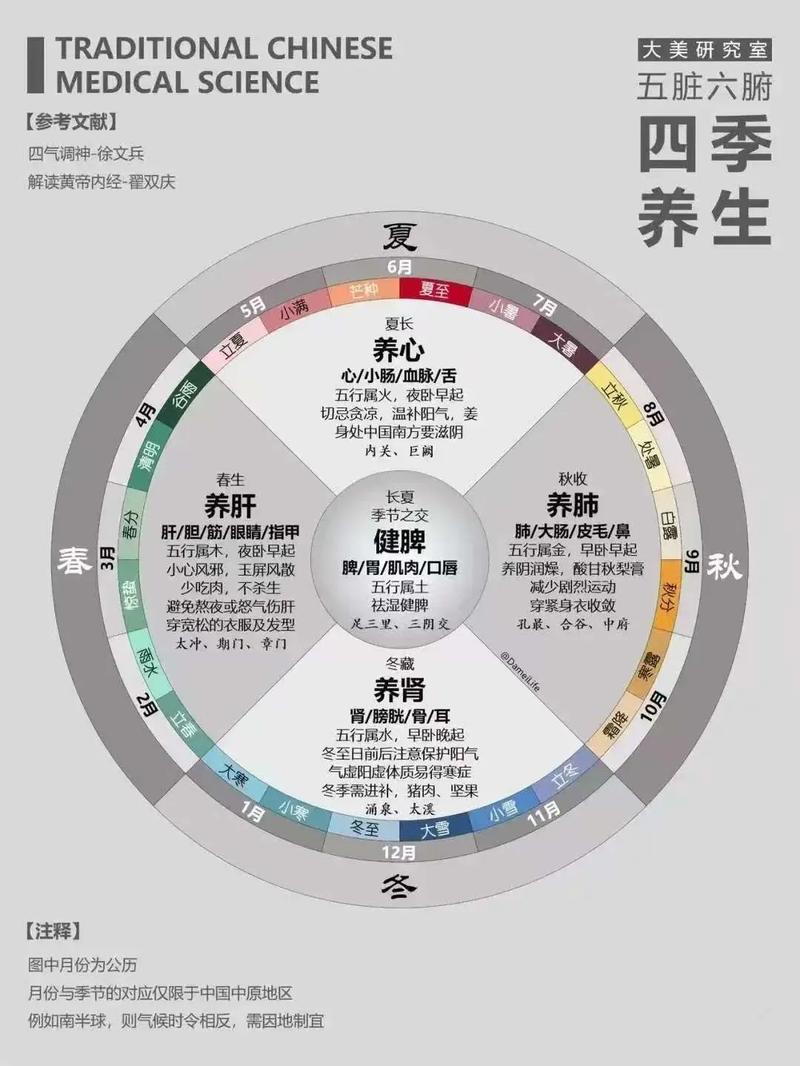 中医理论中，风水元素对健康有何关联性？