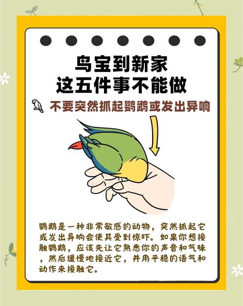 家里养鹦鹉究竟有没有什么风水讲究呢？