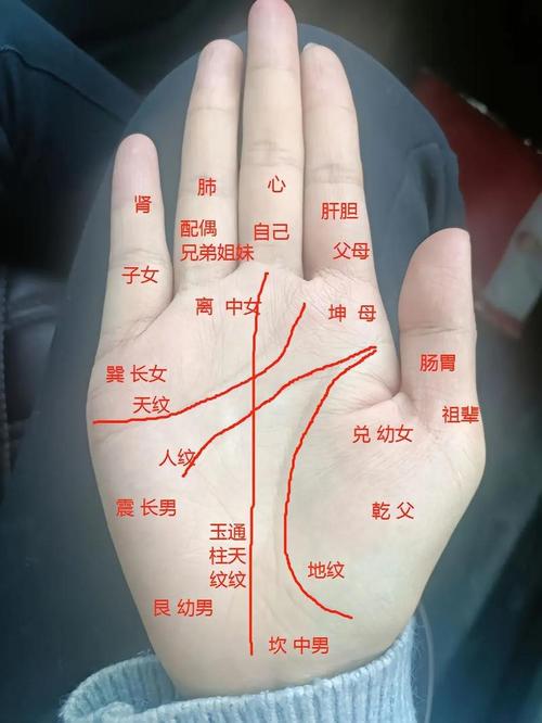 男女手掌命相中，哪种手相的女人命运最好？