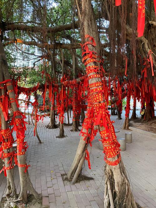 庙宇被树木遮挡，这样的风水布局会对运势有影响吗？