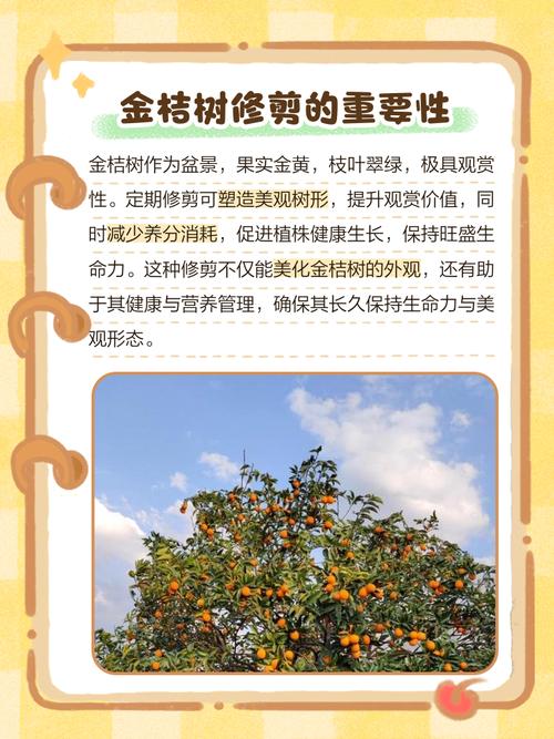 修剪树枝的人是否懂得堪风水，嫩提升树木生长和家居运势？