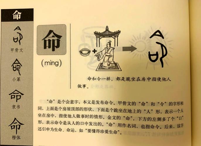 命是什么结构的字，它的部首是什么？死是半包围结构的字吗？