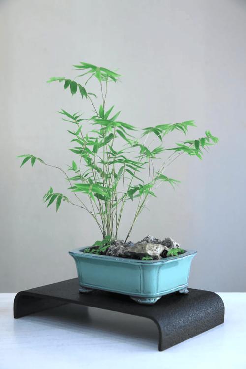 仿真竹子摆放在家中对风水有益吗？