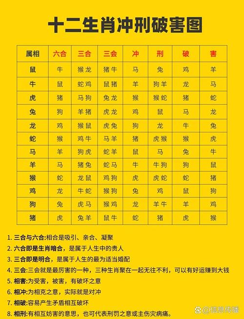 守命或冲命分别指什么？相冲相克又是什么意思？