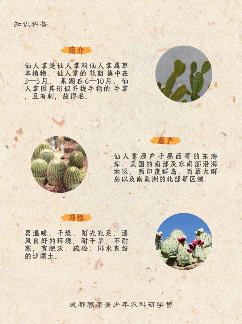 仙人掌在风水上有什么特别的用途吗？