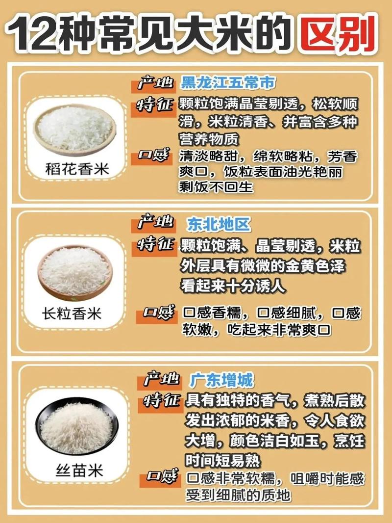 买米时有哪些风水禁忌需要注意呢？