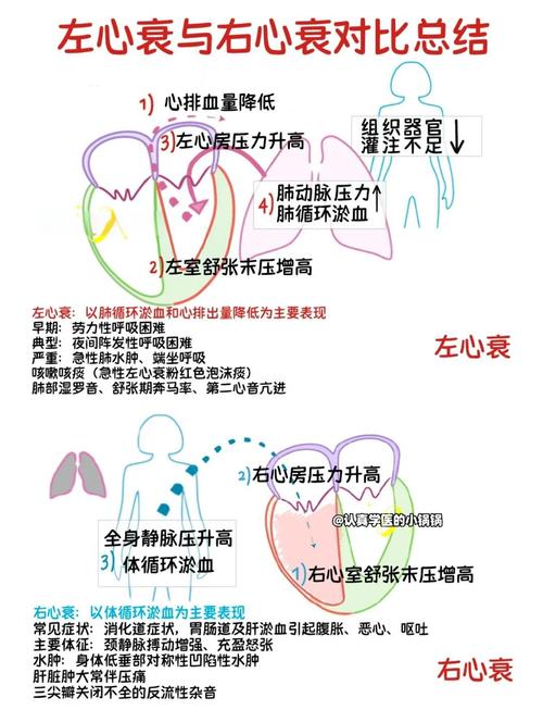 心衰与风水之间是否存在某种关联性？