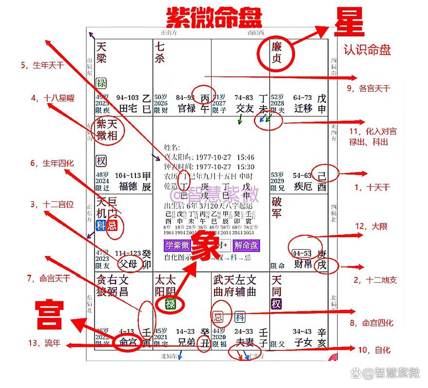 紫微命盘如何判断是富豪？有哪些紫薇格局特征？