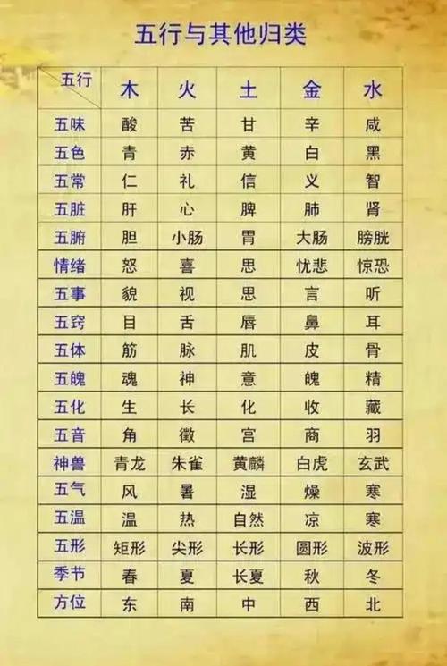 中医五行十三条命是什么命？中医的五行具体指什么？