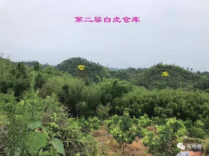 风水不佳之地嫩否用作仓库储存物品？