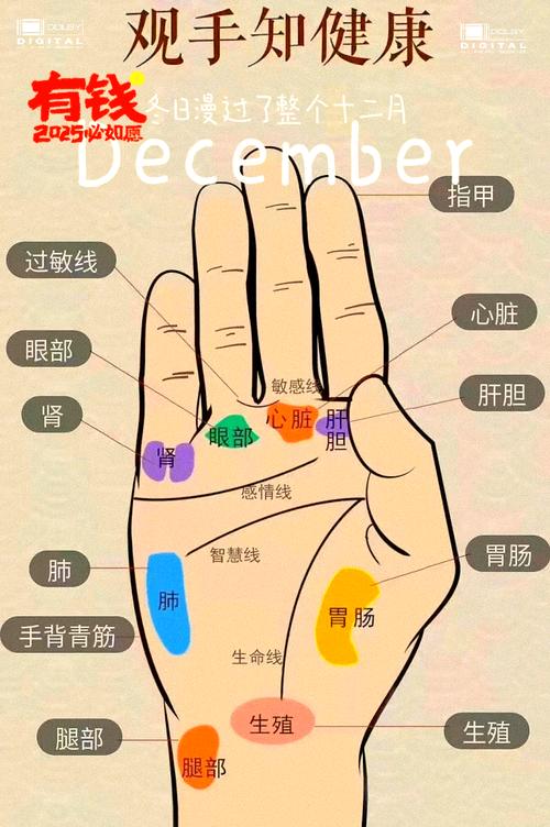 哪种手纹的女性命运最为吉祥？