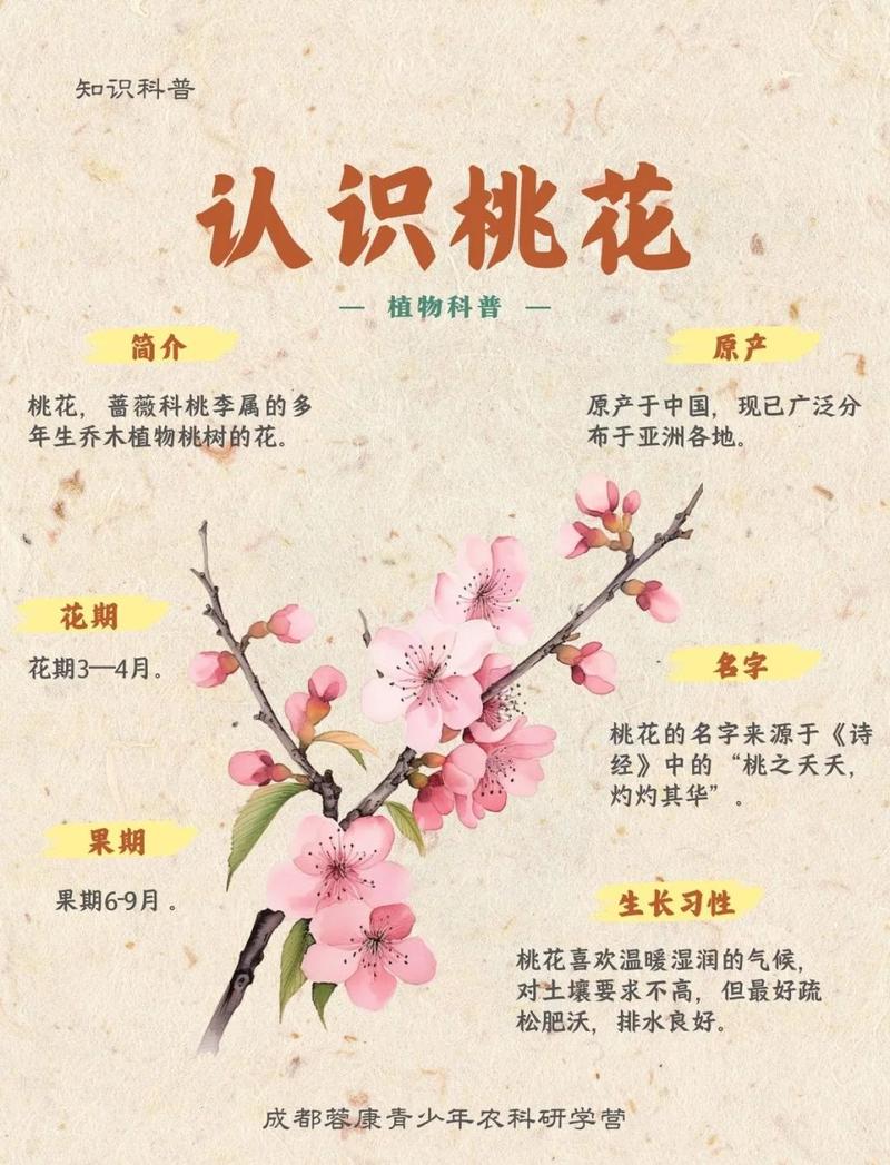 命里带活桃花是什么意思？普通人命里一般有几朵桃花？