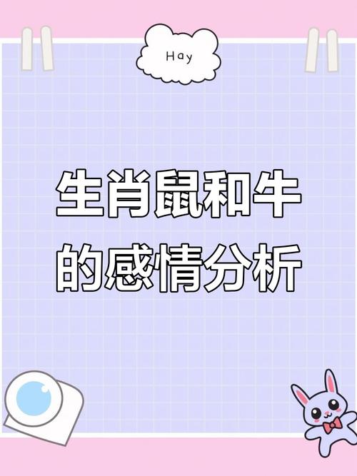 属鼠的女孩和属牛的女孩，哪个命更好？