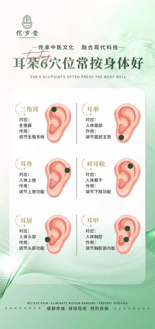 耳朵小的人命运如何，是吉是凶？