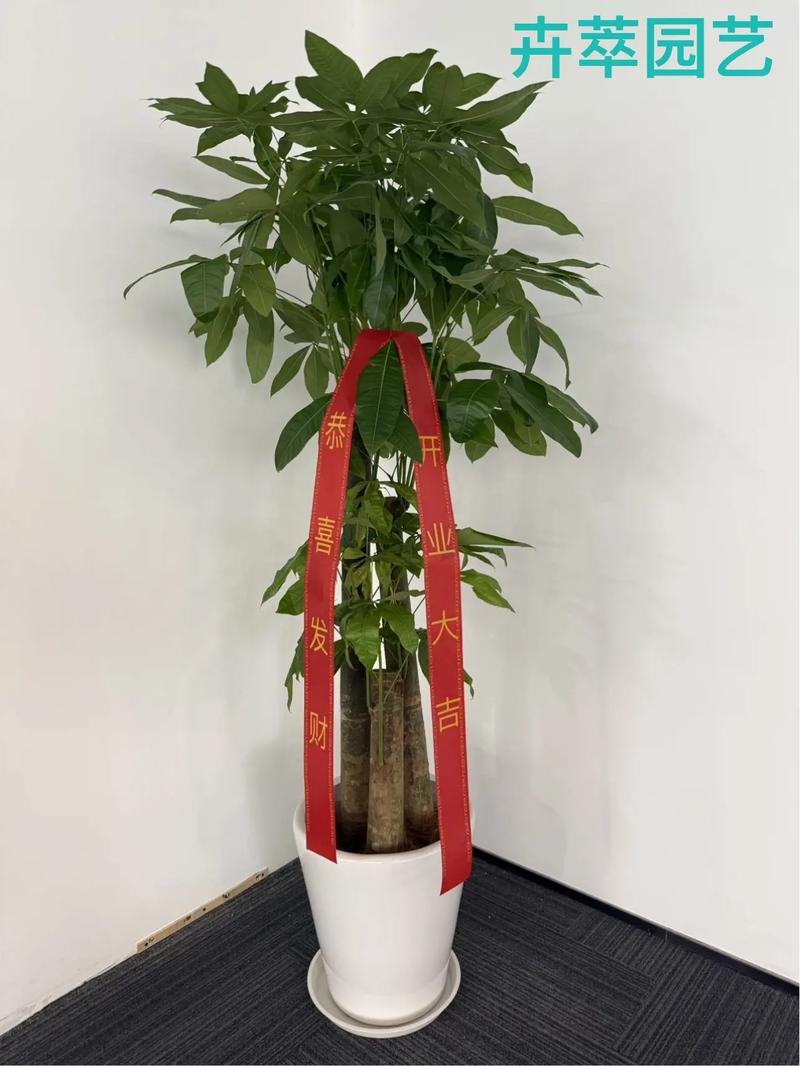 办公室摆放假花会对风水产生怎样的影响呢？