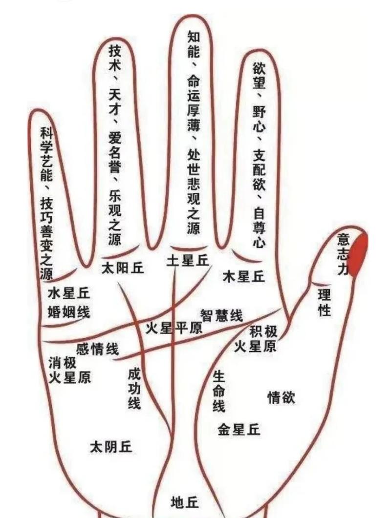 手相有条横线代表什么命运？