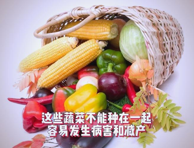 在住宅后方种植蔬菜会对家宅风水产生不良影响吗？