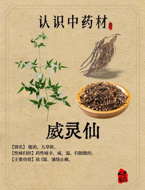 中药与风水之间是否存在某种关联性？