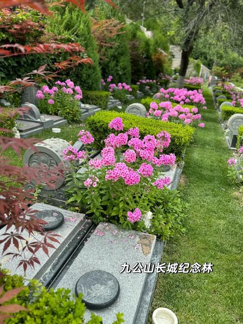 荒坟附近种植花卉，这样的风水布局是否适宜？