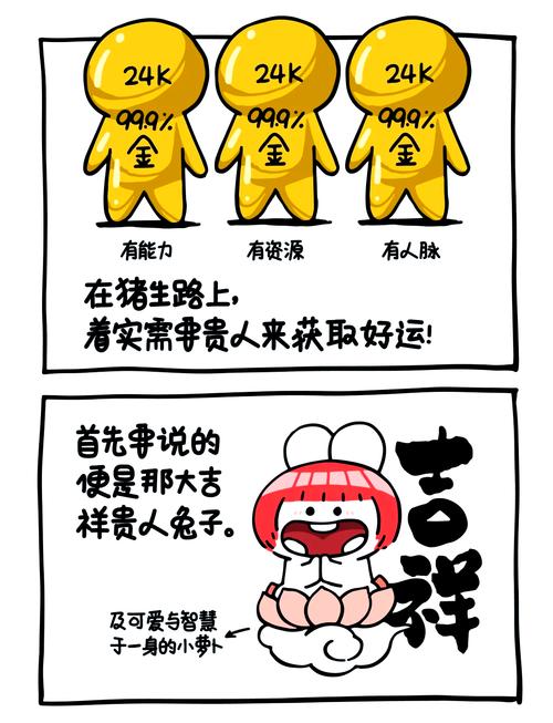 20018年猪是什么命？2007年属猪的人又是什么命呢？