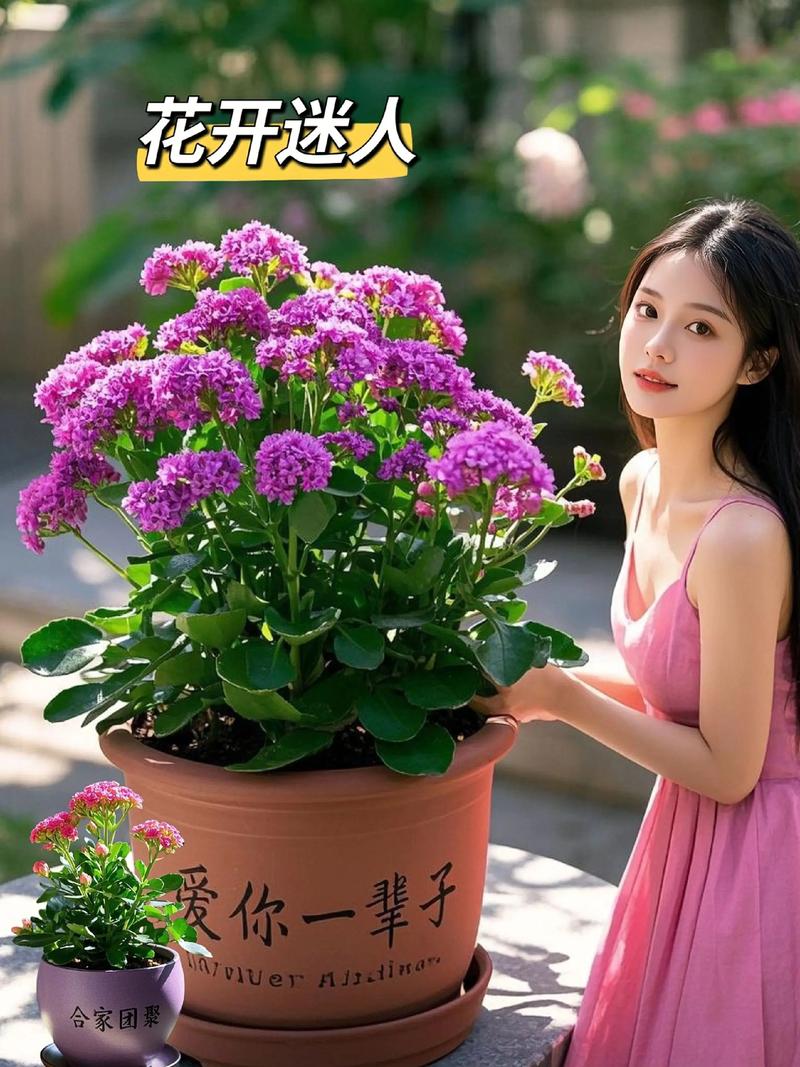 金命和火命适合养什么花？火命和金命搭配养花合适吗？