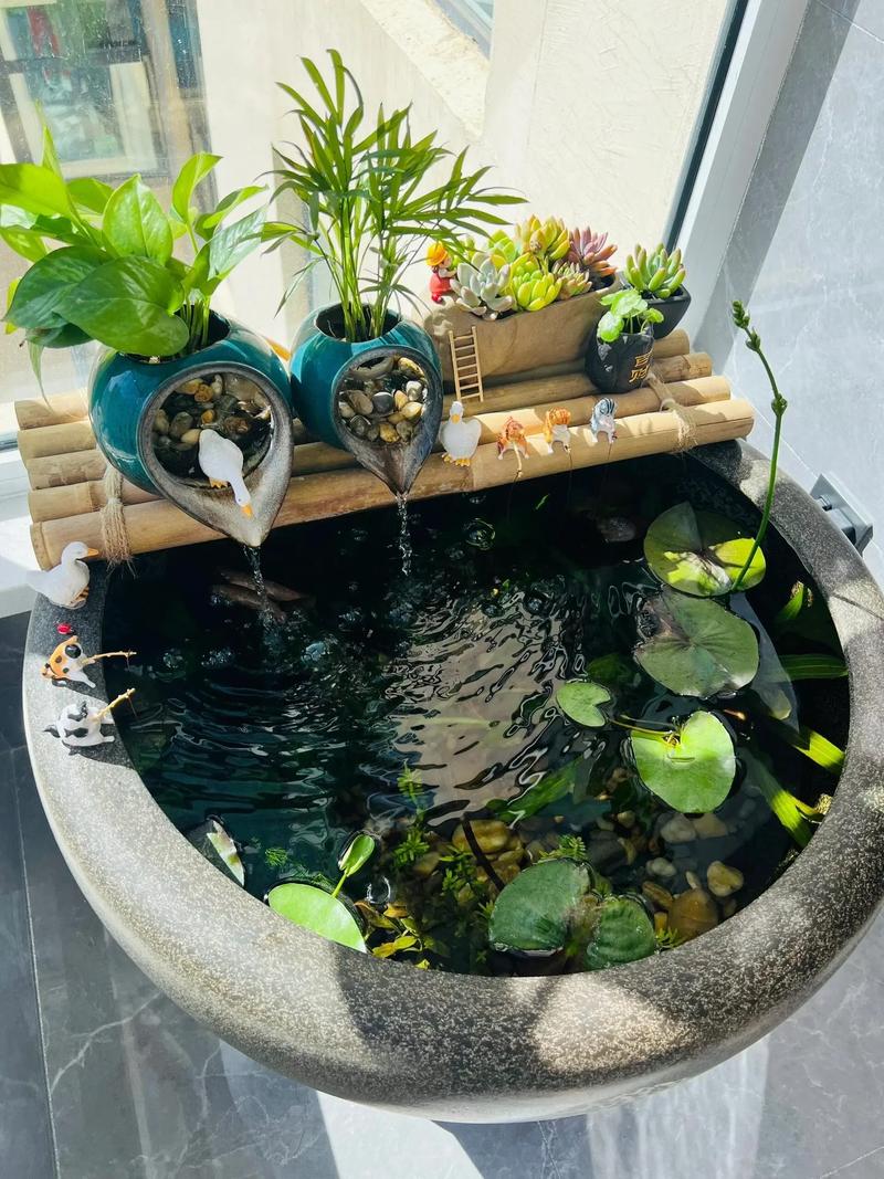 鱼池摆件在院子里摆放，有哪些风水讲究需要注意呢？