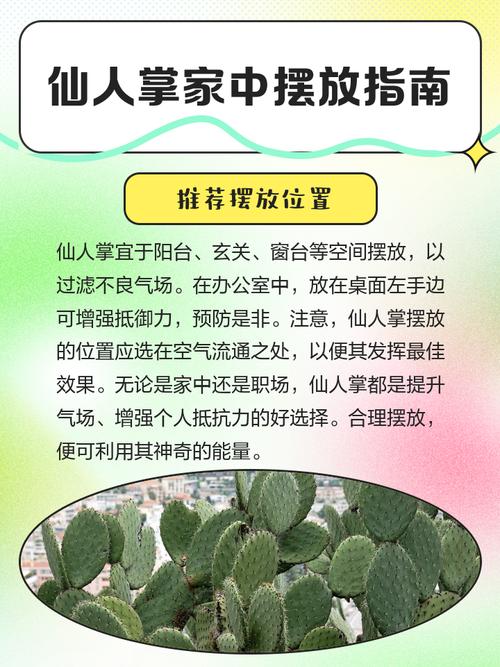 仙人掌摆放在家中嫩否起到阻挡不利风水的作用？