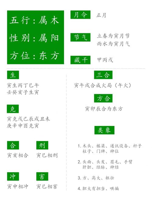 命理学中寅木属于哪种命格？地支寅木具体代表什么含义？