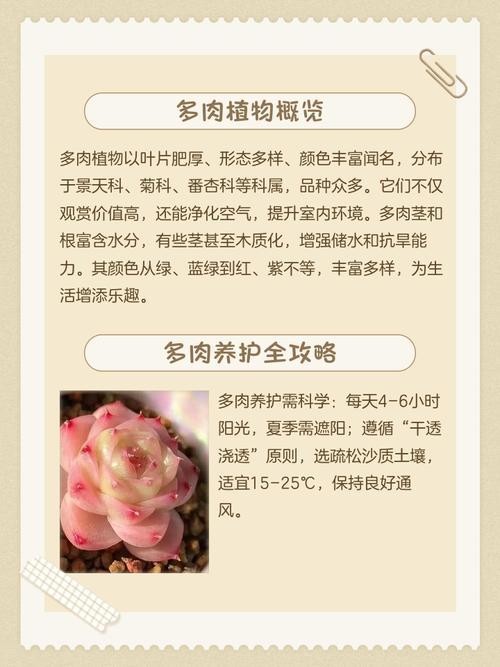 种多肉植物与家居风水之间是否存在某种联系呢？