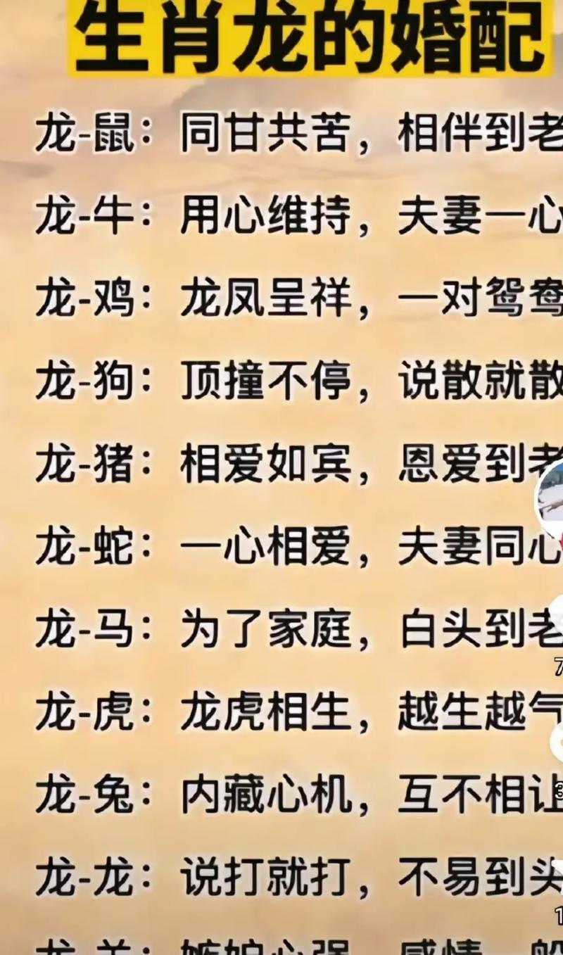 属大龙的45岁和属鼠的今年是什么命？