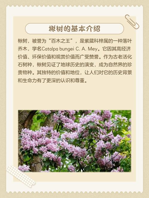 2026年4月10日农历二月二十三日适合种植树木吗？