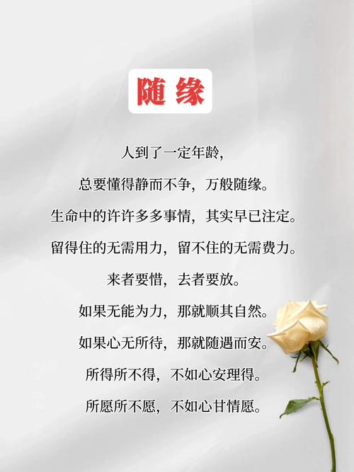 随缘崇命是什么含义？女人说随缘暗示着什么？