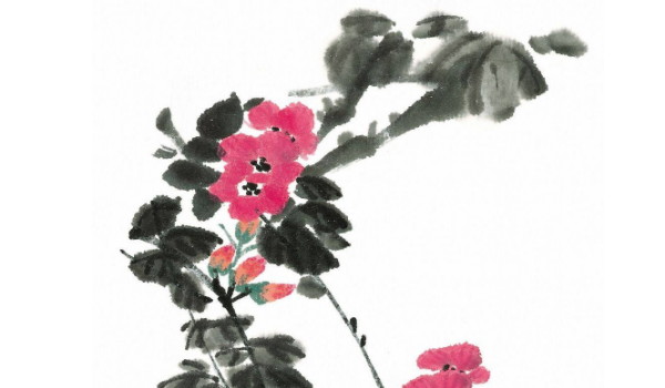 2022-01-06_095217 2022-01-06_095217