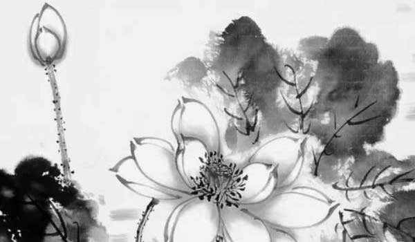 bazi (118) bazi (118)